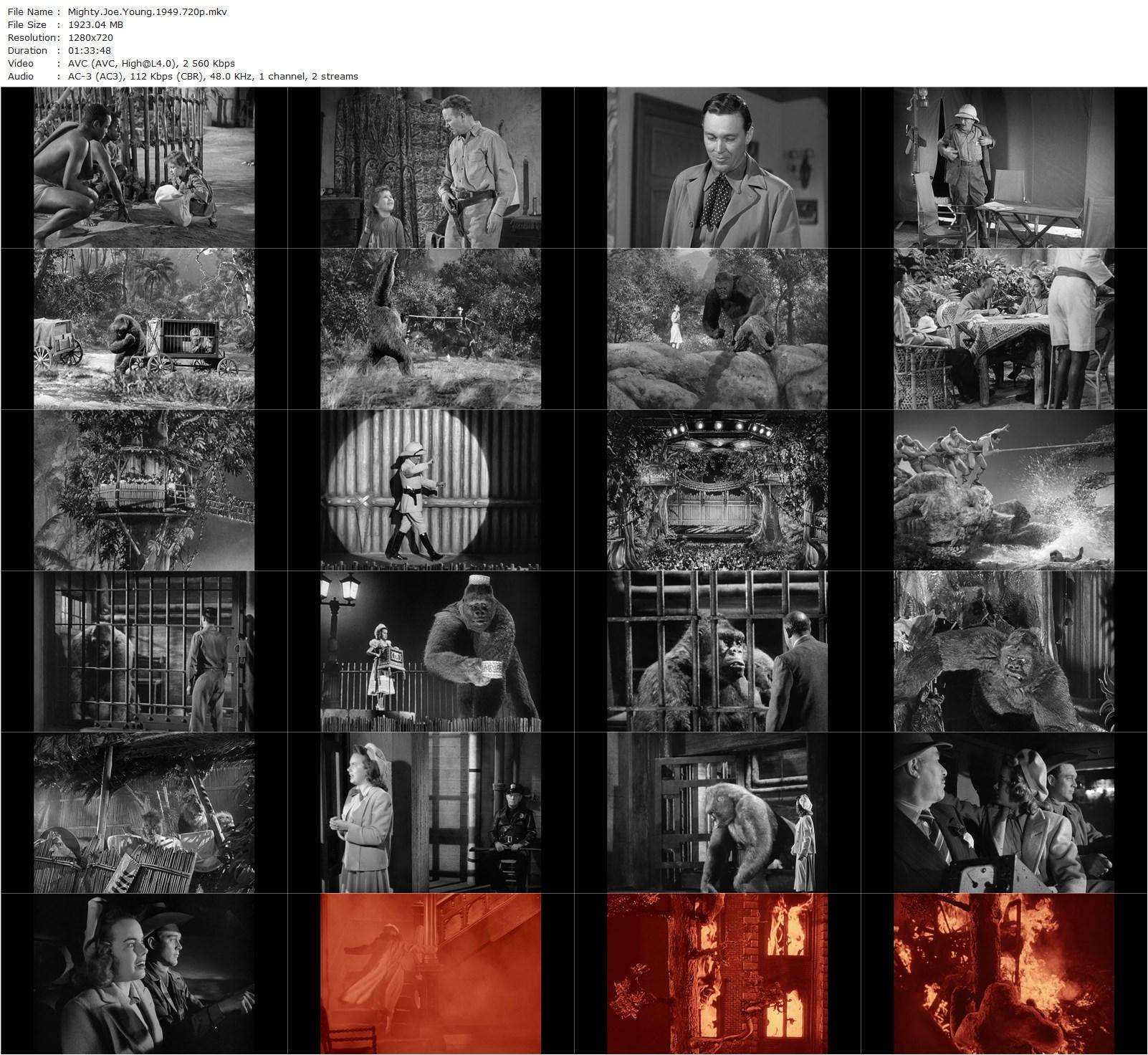 Mighty Joe Young (1949) Ernest B. Schoedsack, Terry Moore, Ben Johnson, Robert Armstrong-poster