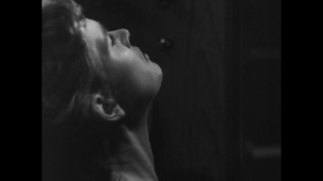 Kogonada - Mirrors of Bergman (2015)-poster