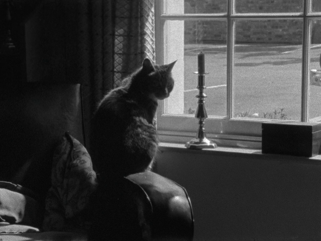 David Gladwell - Miss Thompson Goes Shopping (1958)-poster