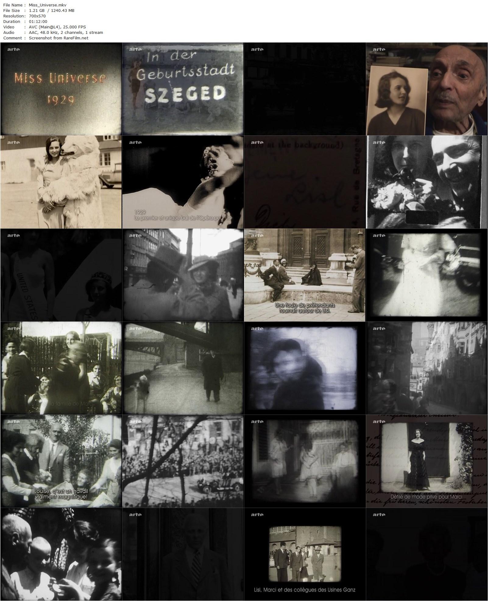 Miss Universe 1929 – Lisl Goldarbeiter. A Queen in Wien ( 2006)-poster