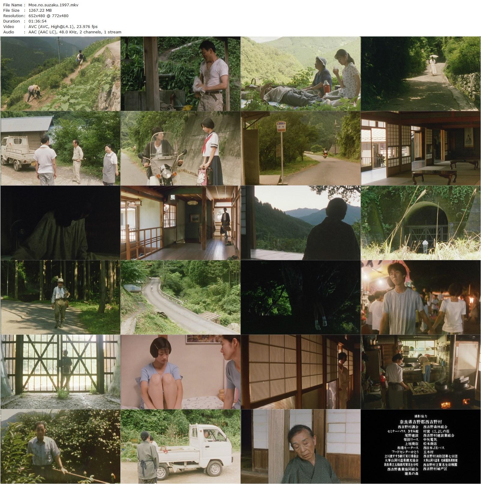 The God Suzaku (1997) Naomi Kawase, Jun Kunimura, Machiko Ono, Sachiko Izumi-poster