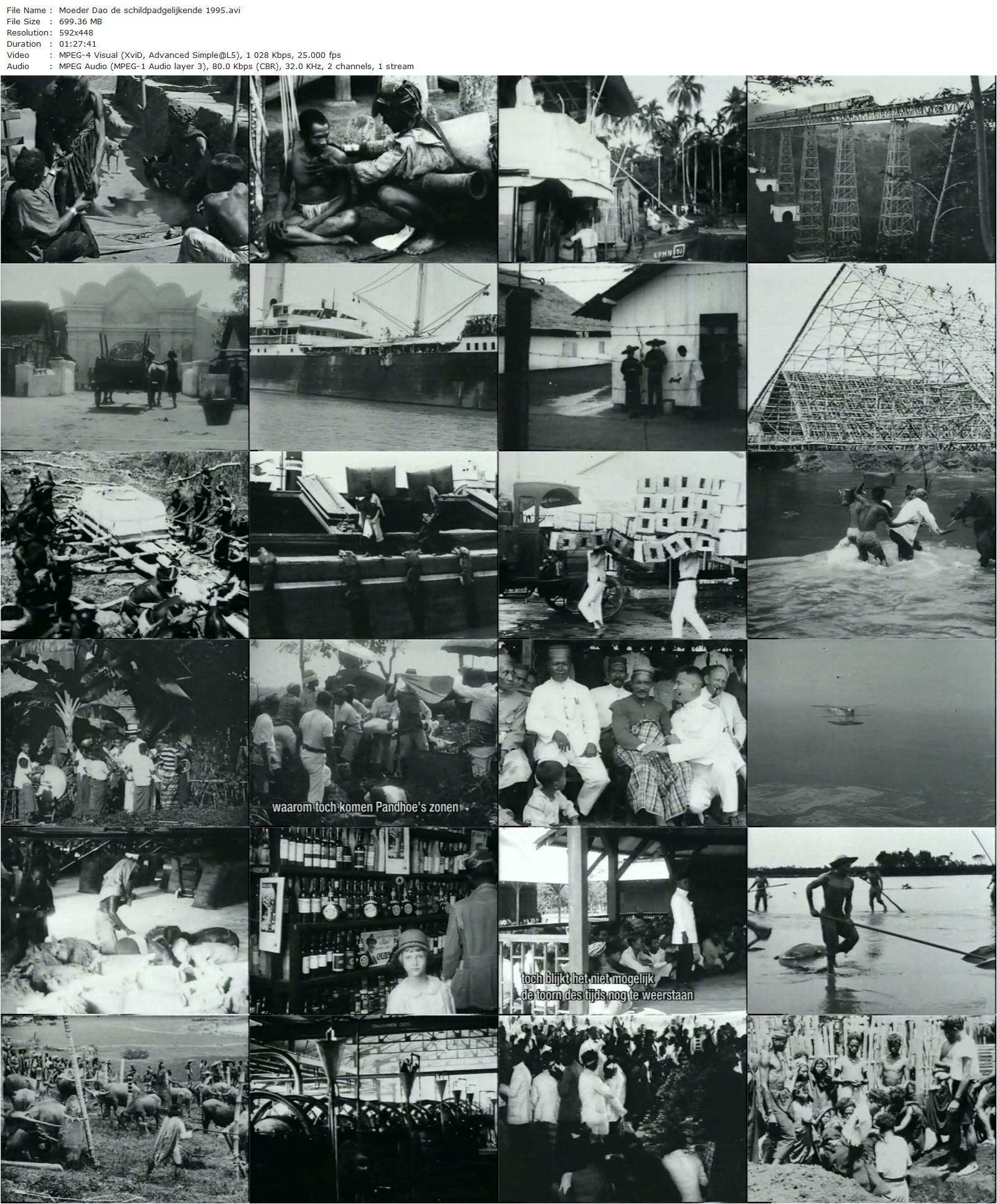 Mother Dao, the Turtlelike (1995) Vincent Monnikendam-poster