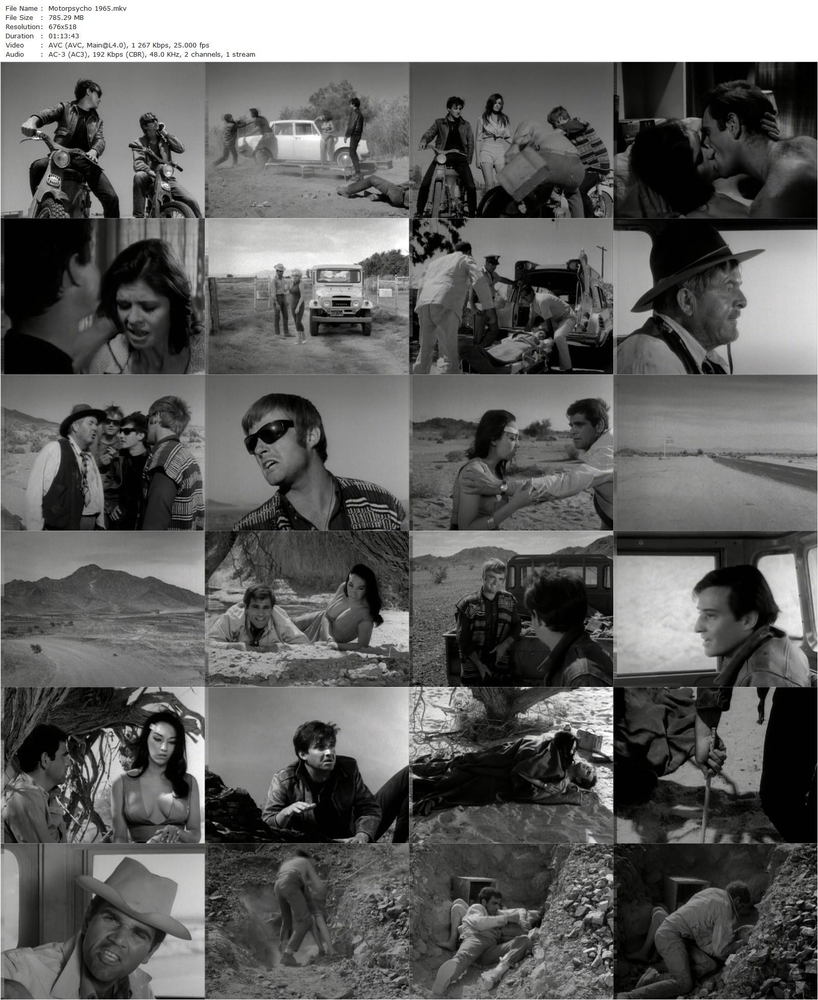 Motor Psycho! (1965) Russ Meyer, Haji, Alex Rocco, Steve Oliver-poster