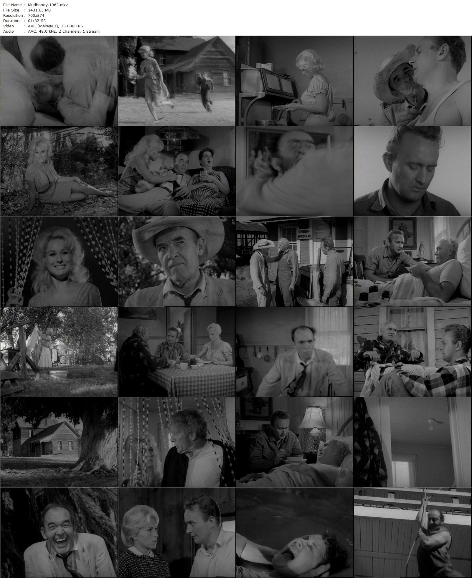 Mudhoney (1965) Russ Meyer, Hal Hopper, Antoinette Cristiani, John Furlong-poster