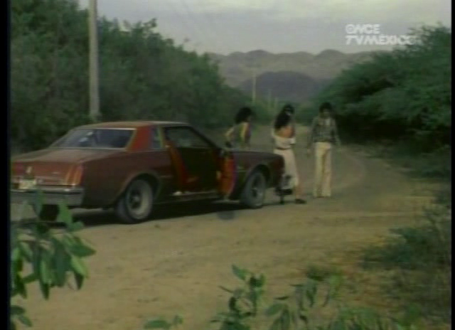 Gabriel Retes - Mujeres salvajes AKA Savage Women (1984)-poster