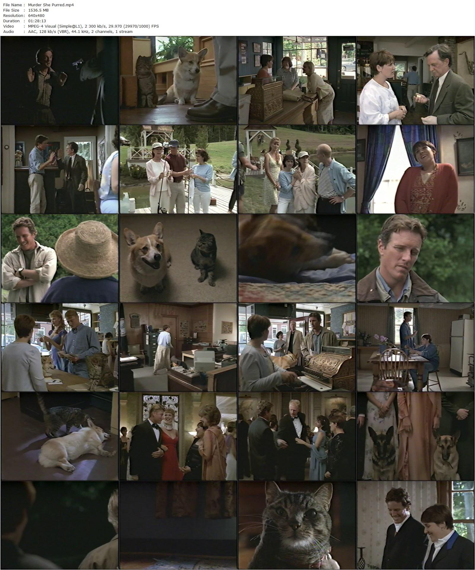 Murder She Purred: A Mrs. Murphy Mystery (1998) Simon Wincer, Ricki Lake, Linden Ashby, Bruce McGill-poster