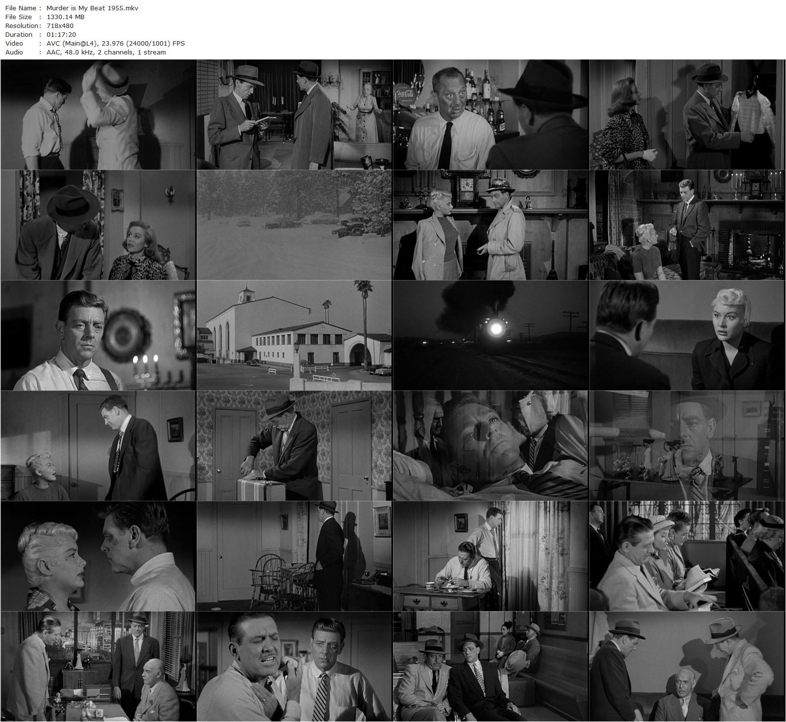 Murder Is My Beat (1955) Edgar G. Ulmer, Paul Langton, Barbara Payton, Robert Shayne-poster