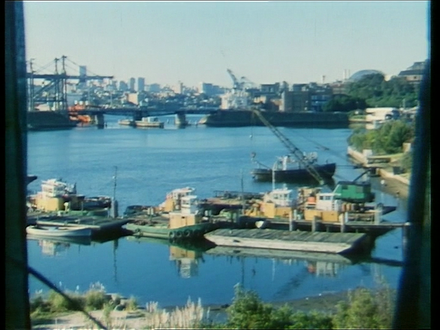 My Life Without Steve (1986)-poster