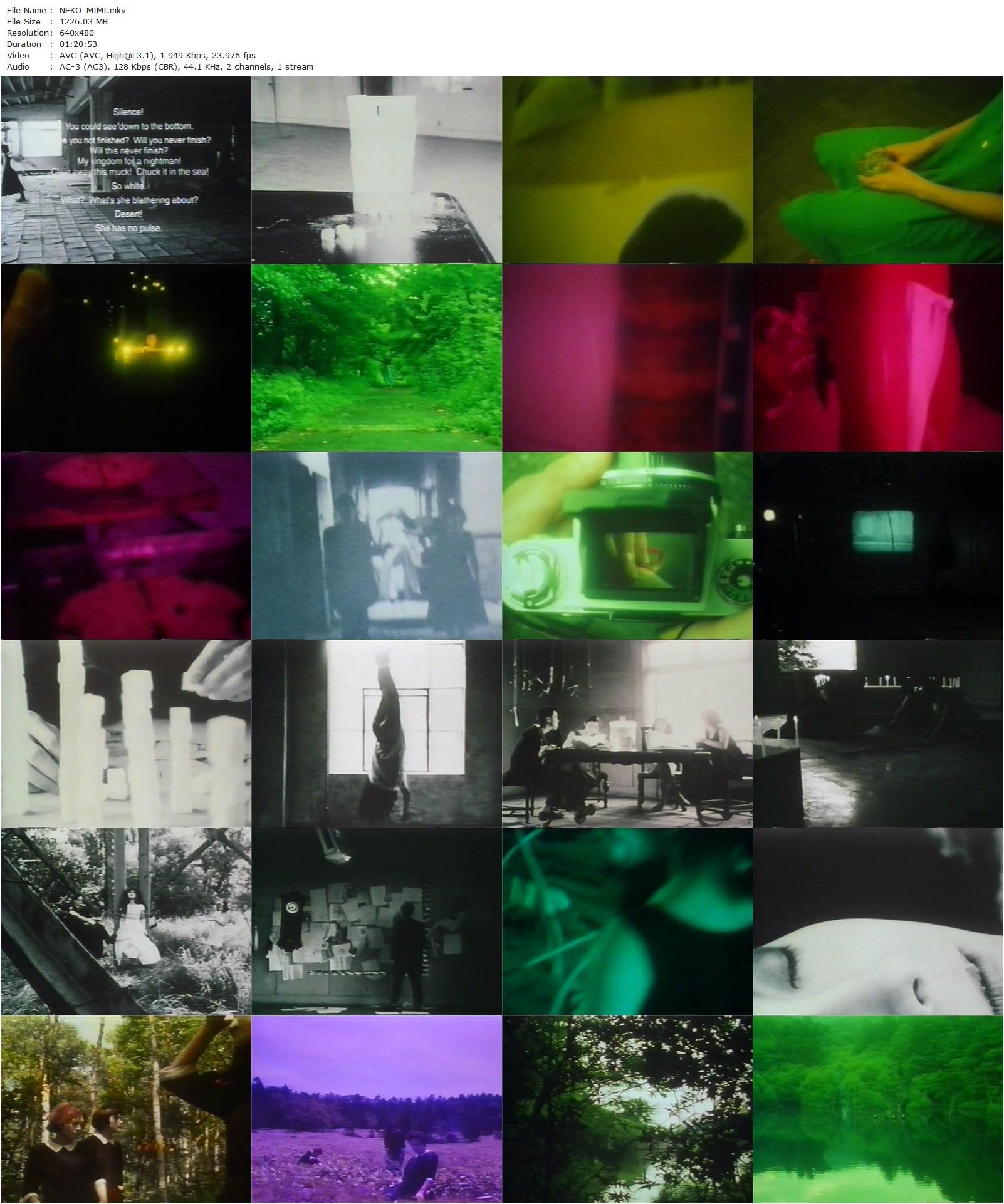 Nekomimi (1994) Jun Kurosawa-poster