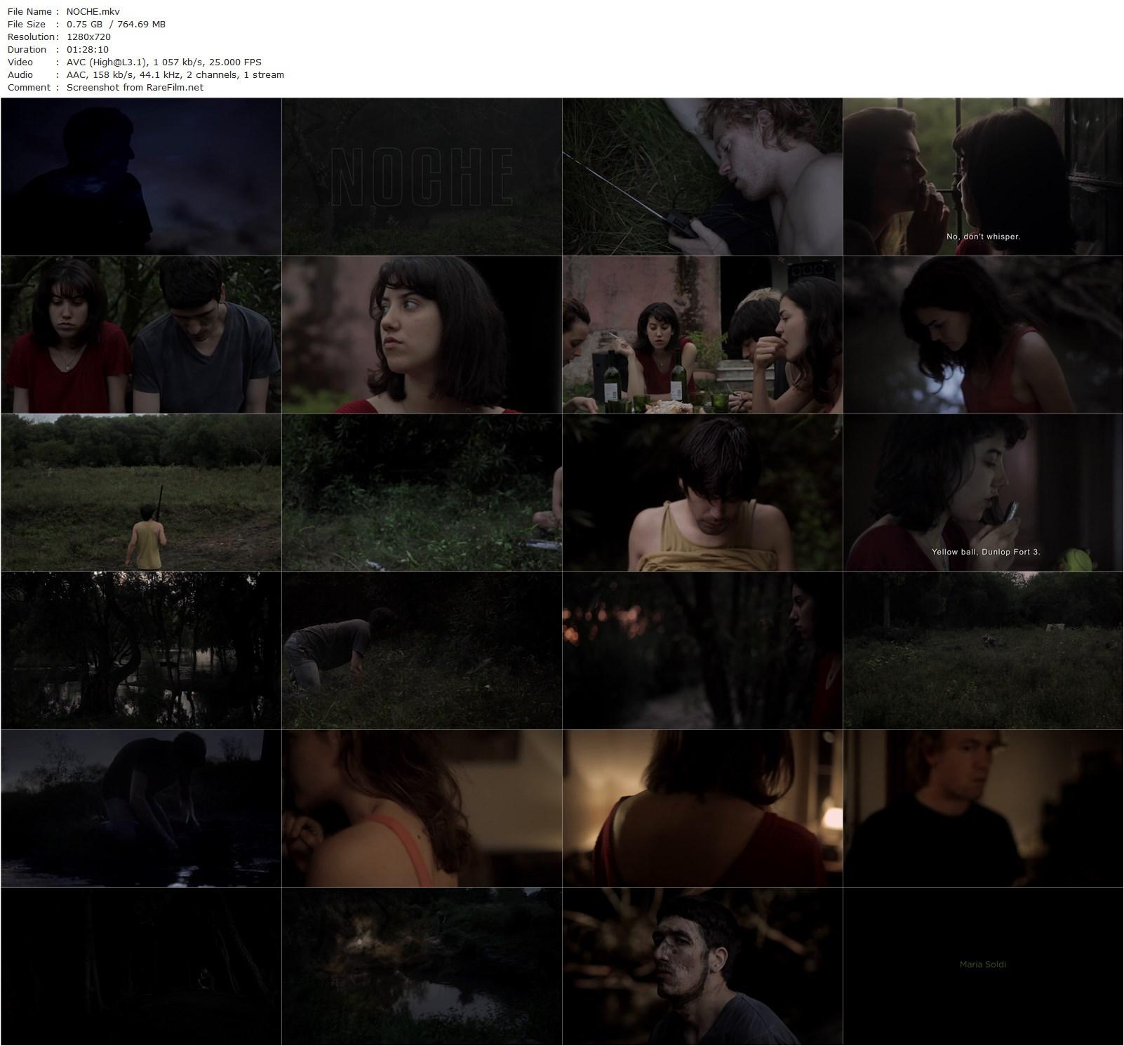 Noche / Night (2013) Leonardo Brzezicki, Flavia Noguera, Jair Toledo, María Soldi-poster