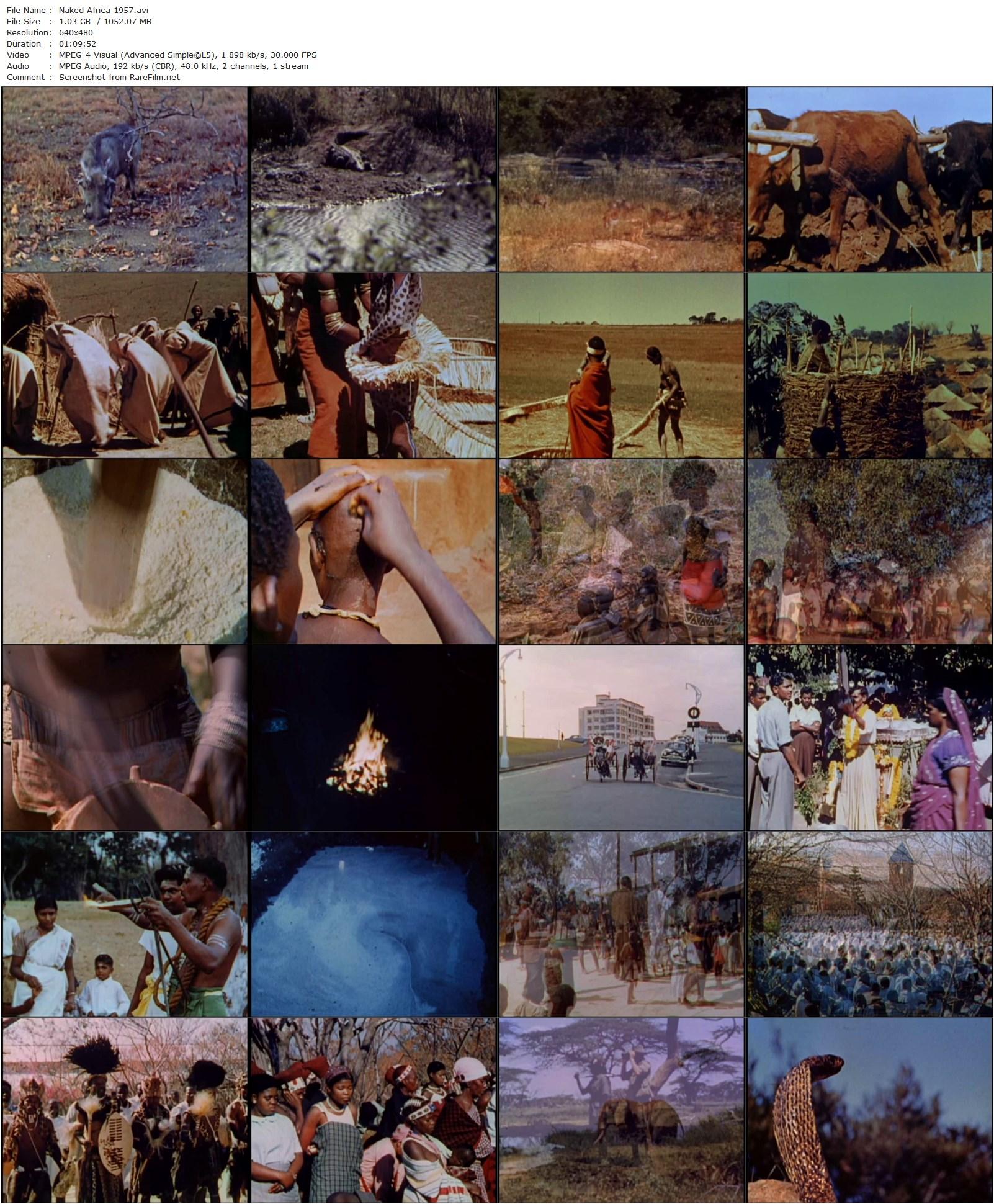 Naked Africa (1957) Ray Phoenix-poster