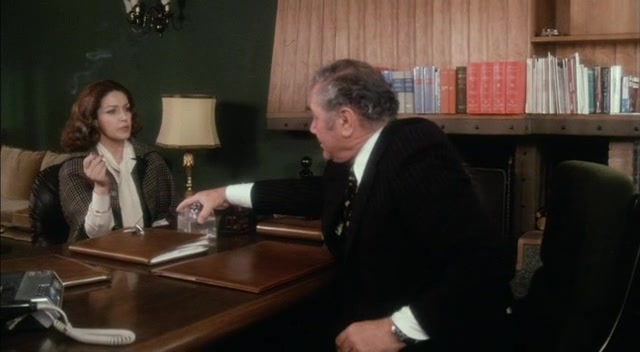 Holiday Hookers AKA Natale in casa d’appuntamento (1976) Armando Nannuzzi, Ernest Borgnine, Françoise Fabian, Corinne Cléry-poster