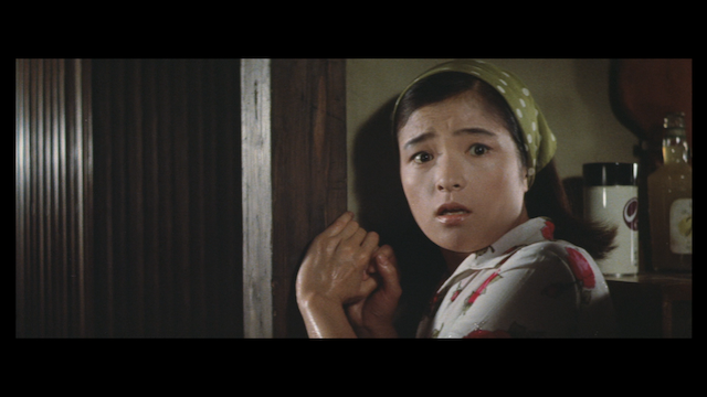 Natsukashii furaibo (1966)-poster