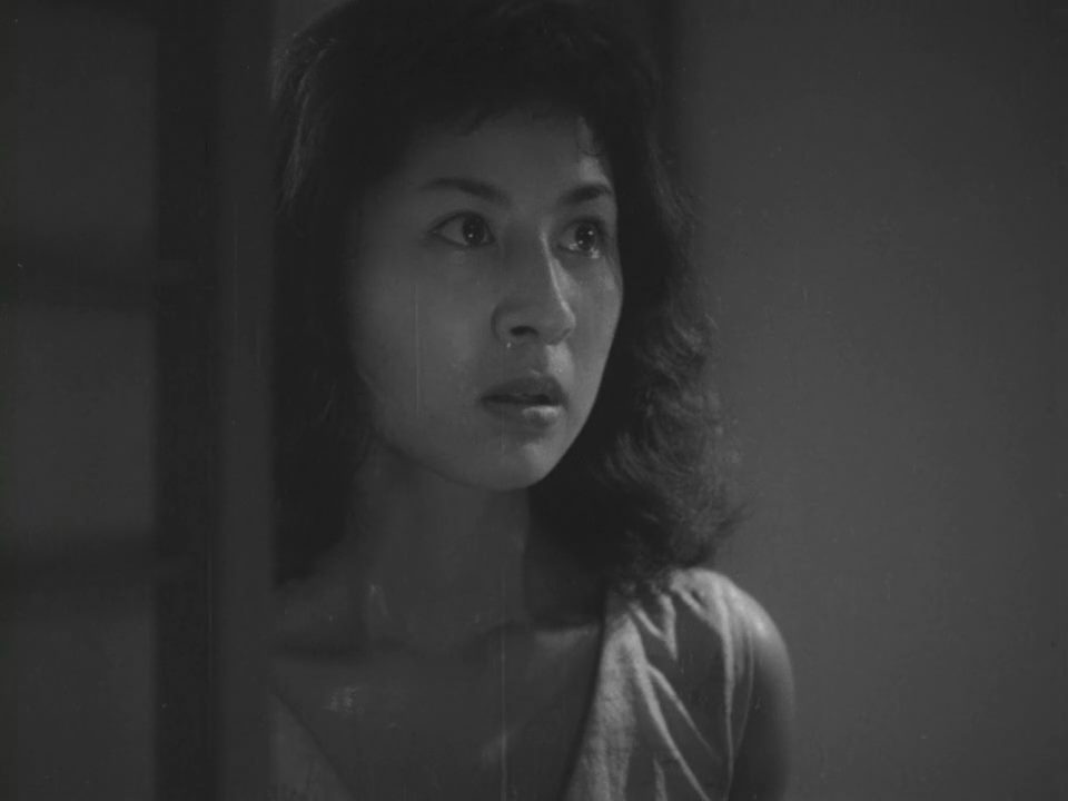 Neko to shozo to futari no onna / Shozo, a Cat and Two Women (1956) Shirô Toyoda, Hisaya Morishige, Isuzu Yamada, Kyôko Kagawa, Comedy, Drama, Family-poster