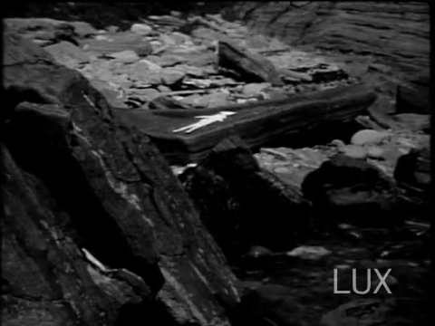 Michael Snow – New York Eye and Ear Control (1964)