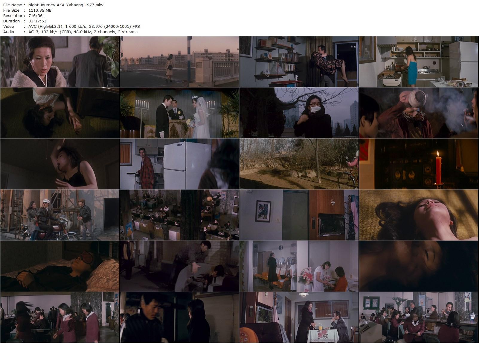 Night Journey AKA Yahaeng (1977) Soo-yong Kim, Jeong-hie Yu, Sung-il Shin, Il-woong Lee-poster