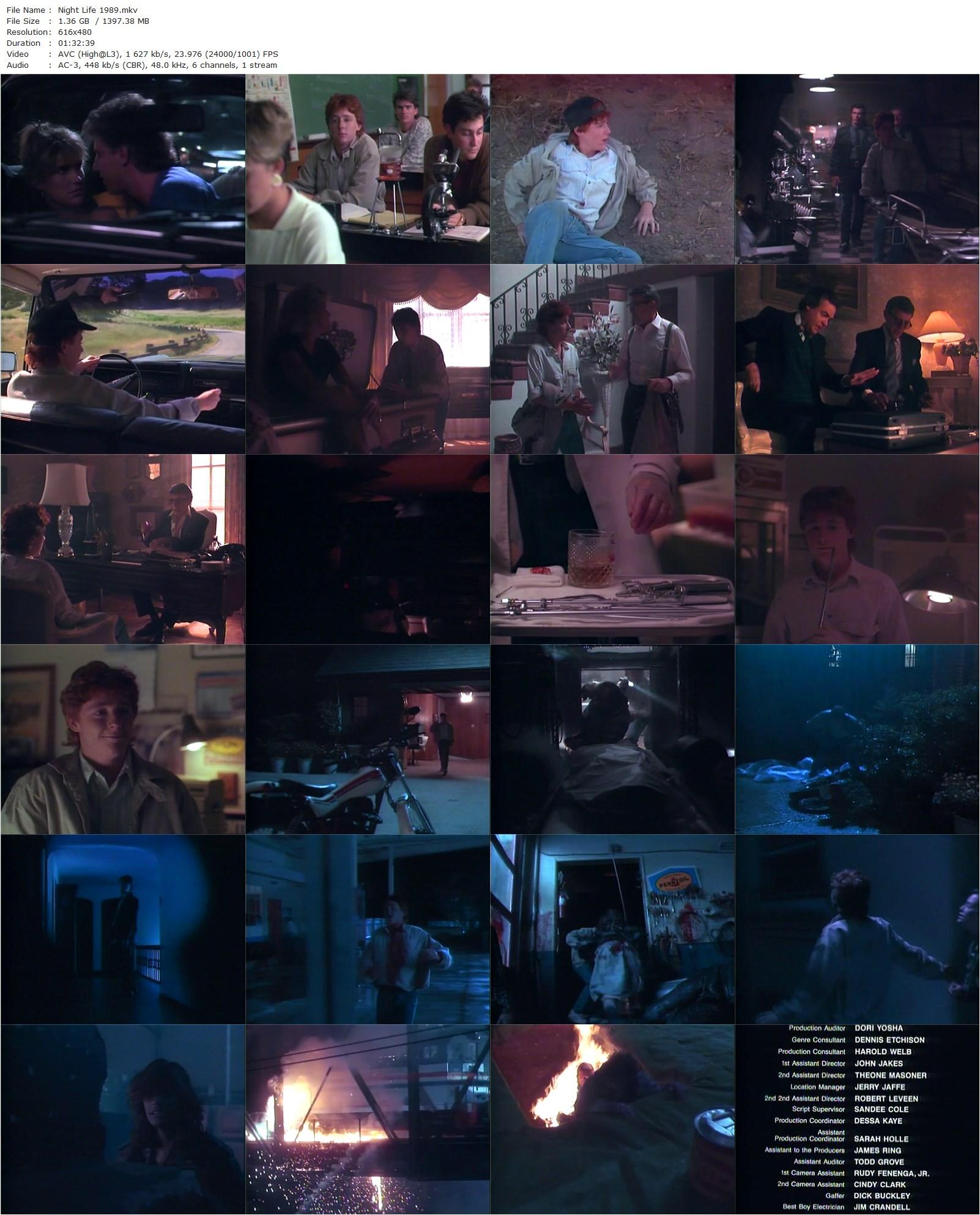 Night Life (1989) David Acomba, Scott Grimes, John Astin, Cheryl Pollak-poster