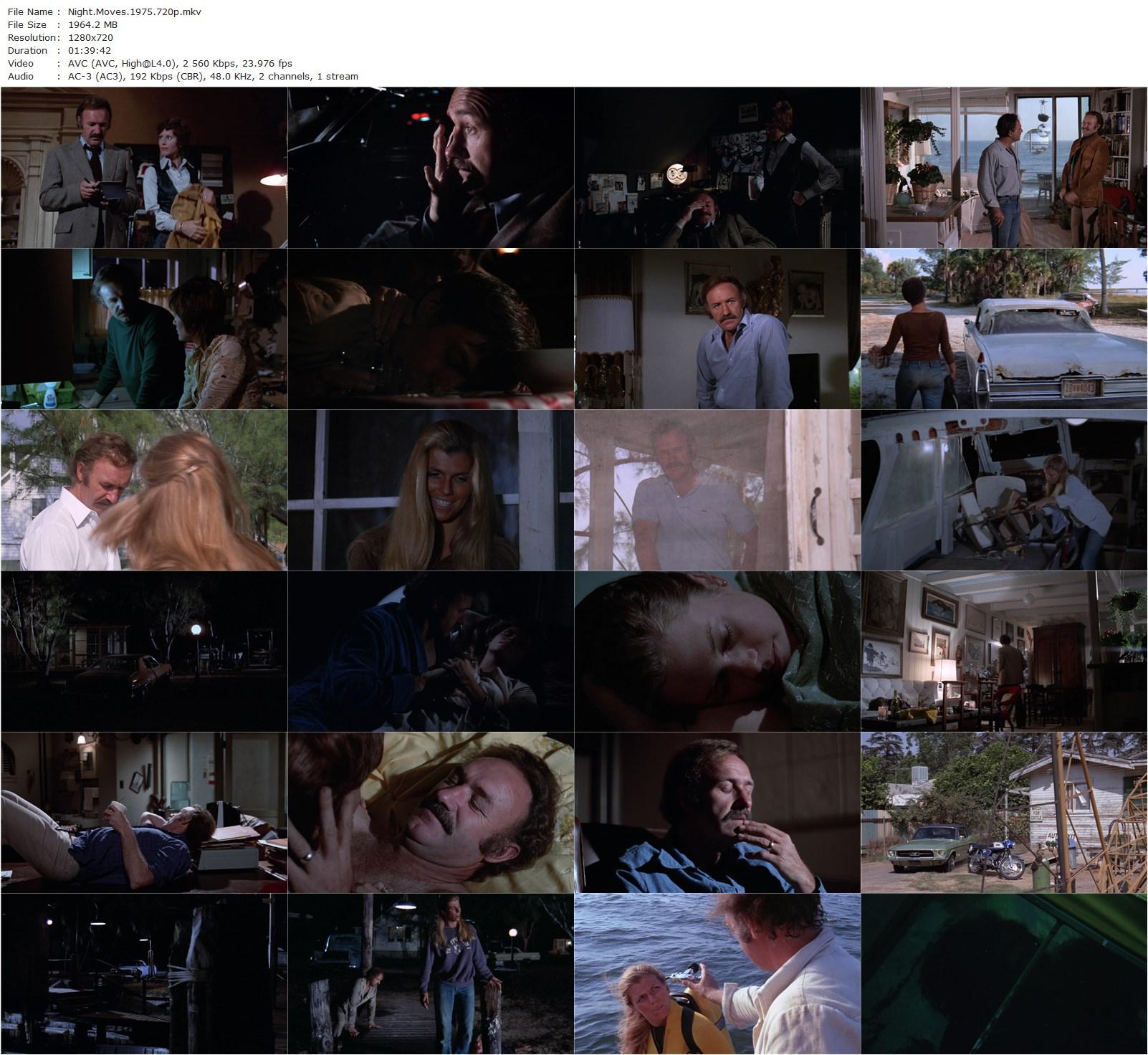 Night Moves (1975) Arthur Penn, Gene Hackman, Jennifer Warren, Edward Binns-poster