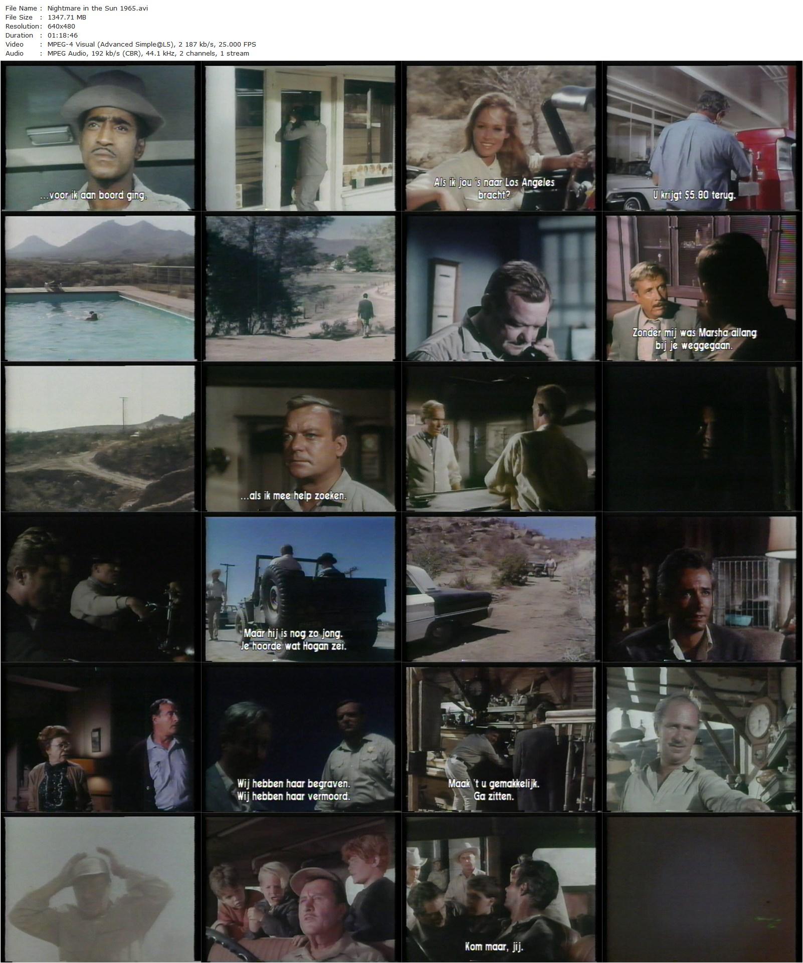 Nightmare in the Sun (1965) John Derek, Marc Lawrence, Aldo Ray, Arthur O’Connell-poster