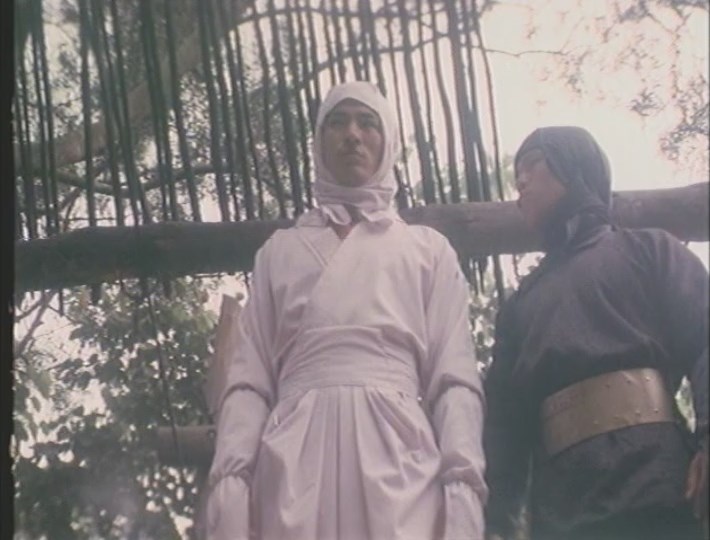 Ninja Hunter (1987) Kuo-Ren Wu, Alexander Rei Lo, Kuan-Wu Lung, William Yen, Action, Fantasy-poster