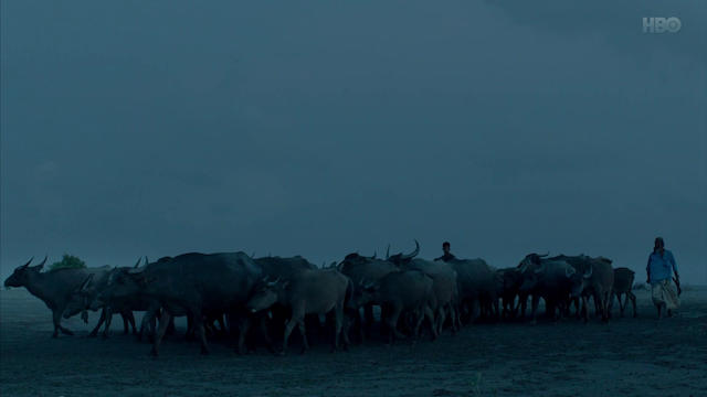 Rezwan Shahriar Sumit - Nonajoler Kabbo AKA The Salt in Our Waters (2020)-poster