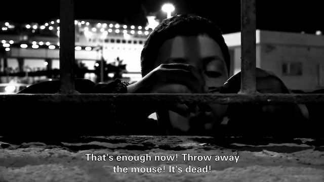 Nuit obscure - feuillets sauvages (2022) | Worldscinema | Download Free-poster