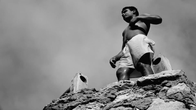 Nuit obscure - feuillets sauvages (2022) | Worldscinema | Download Free-poster