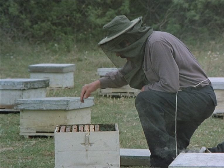 O Melissokomos / The Beekeeper (1986) Theodoros Angelopoulos, Marcello Mastroianni, Nadia Mourouzi, Serge Reggiani, Drama-poster