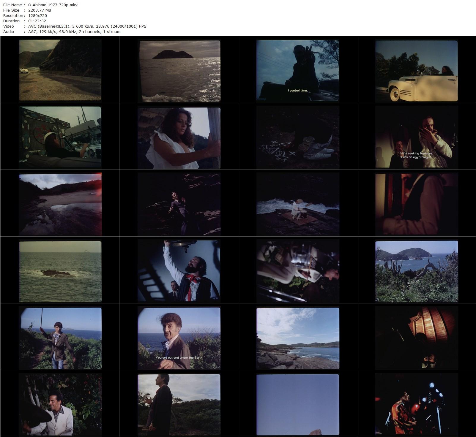 The Abyss AKA O Abismo (1977) Rogério Sganzerla, Norma Bengell, José Mojica Marins, Wilson Grey-poster