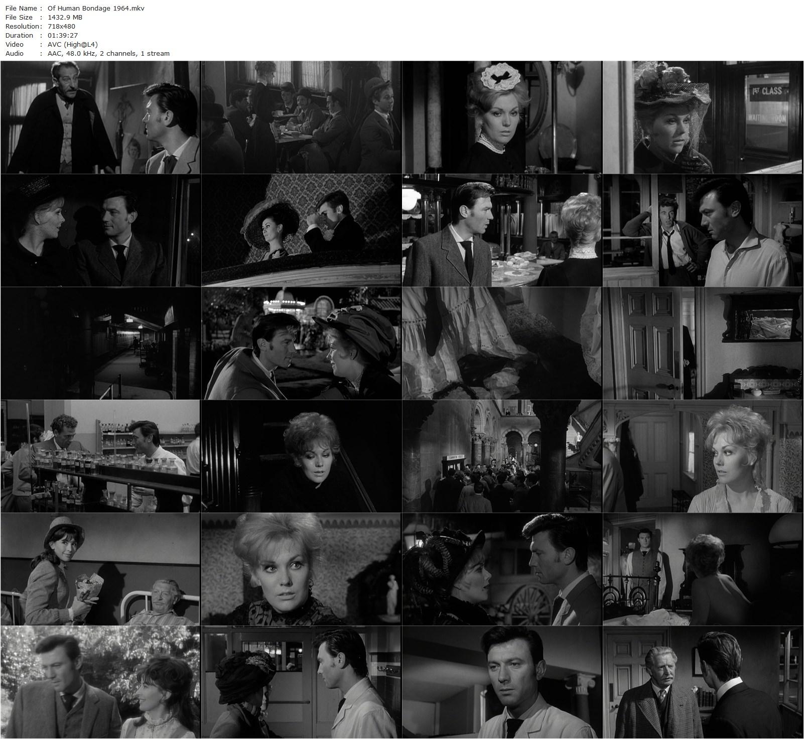 Of Human Bondage (1964) Ken Hughes, Henry Hathaway, Bryan Forbes, Kim Novak, Laurence Harvey, Robert Morley-poster