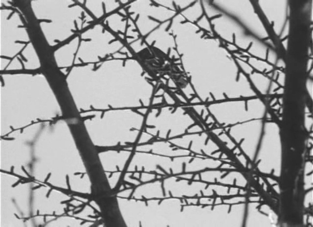 Ôkoku (1973)-poster