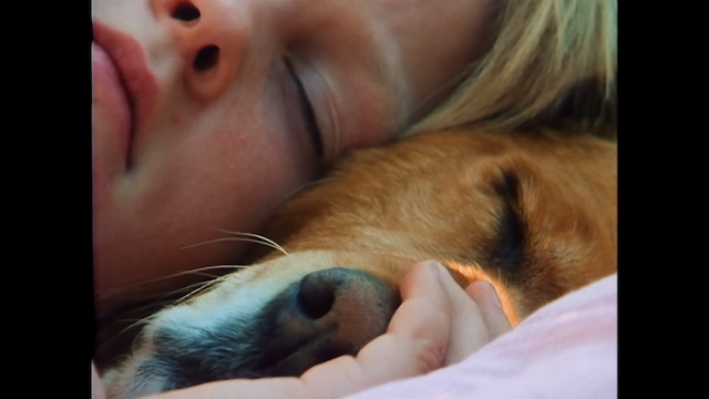 Maxime Martinot - Olho animal (2022)-poster