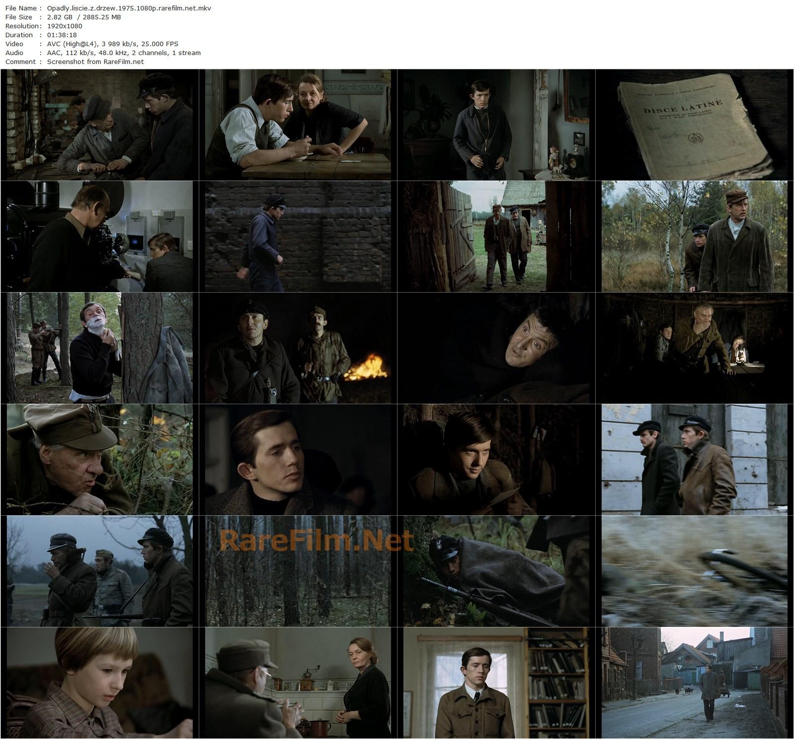 Leaves Have Fallen / Opadly liscie z drzew (1975) Stanislaw Rózewicz, Mieczyslaw Hryniewicz, Maria Klejdysz, Tadeusz Cygler-poster