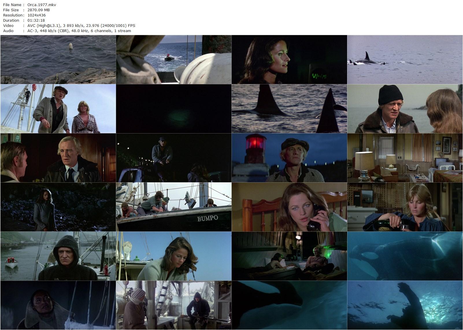 Orca (1977) Michael Anderson, Richard Harris, Charlotte Rampling, Will Sampson-poster