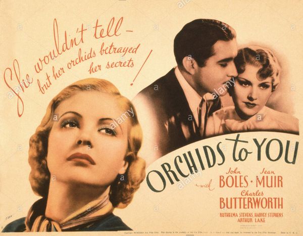 Orchids to You (1935) William A. Seiter, John Boles, Jean Muir, Charles Butterworth, Drama