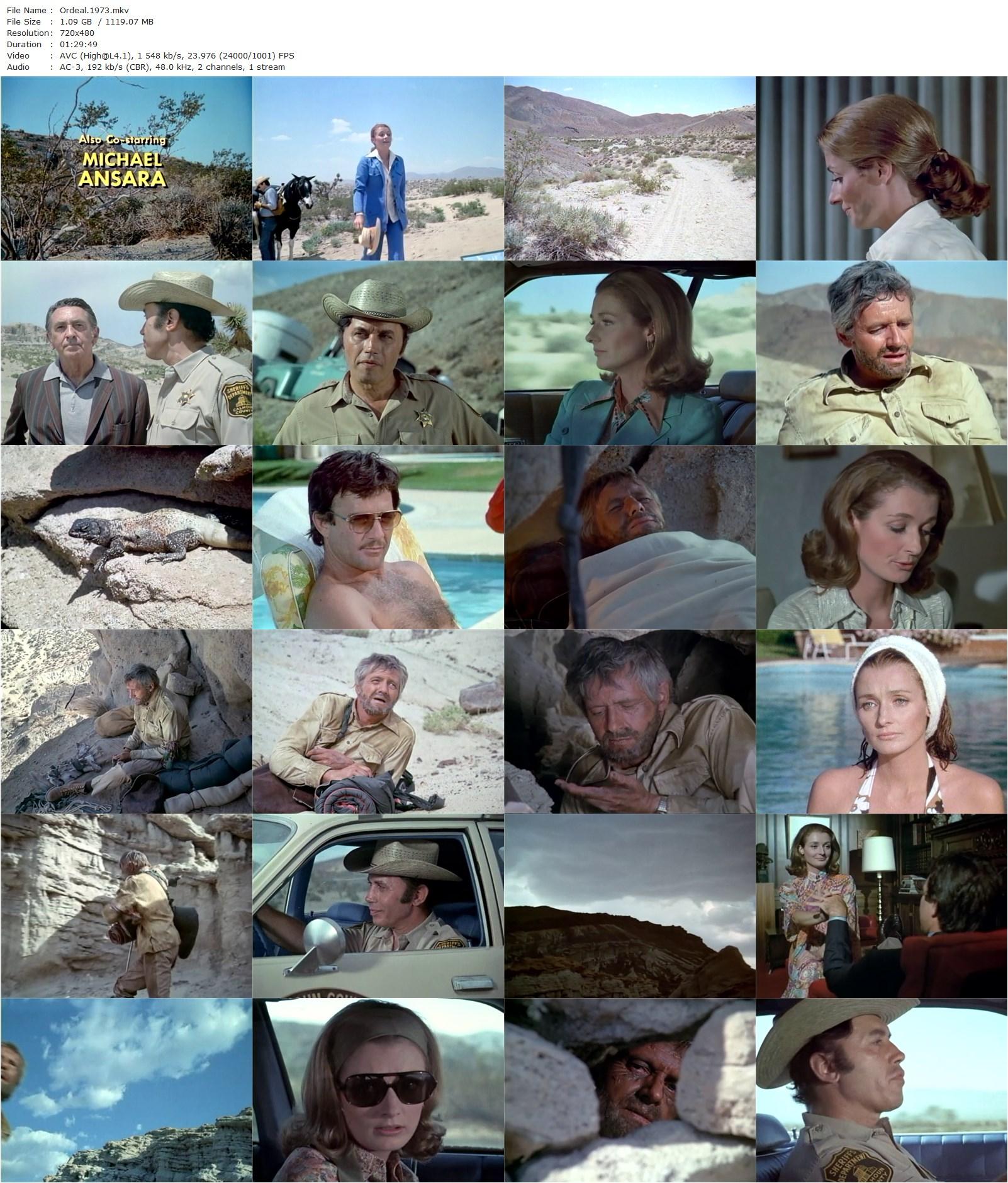 Ordeal (1973) Lee H. Katzin, Arthur Hill, Diana Muldaur, James Stacy-poster