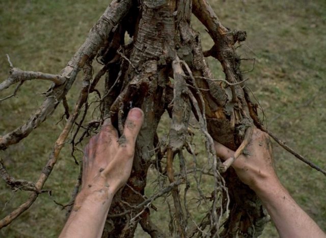 Jan Svankmajer - Otesánek AKA Little Otik (2000)-poster