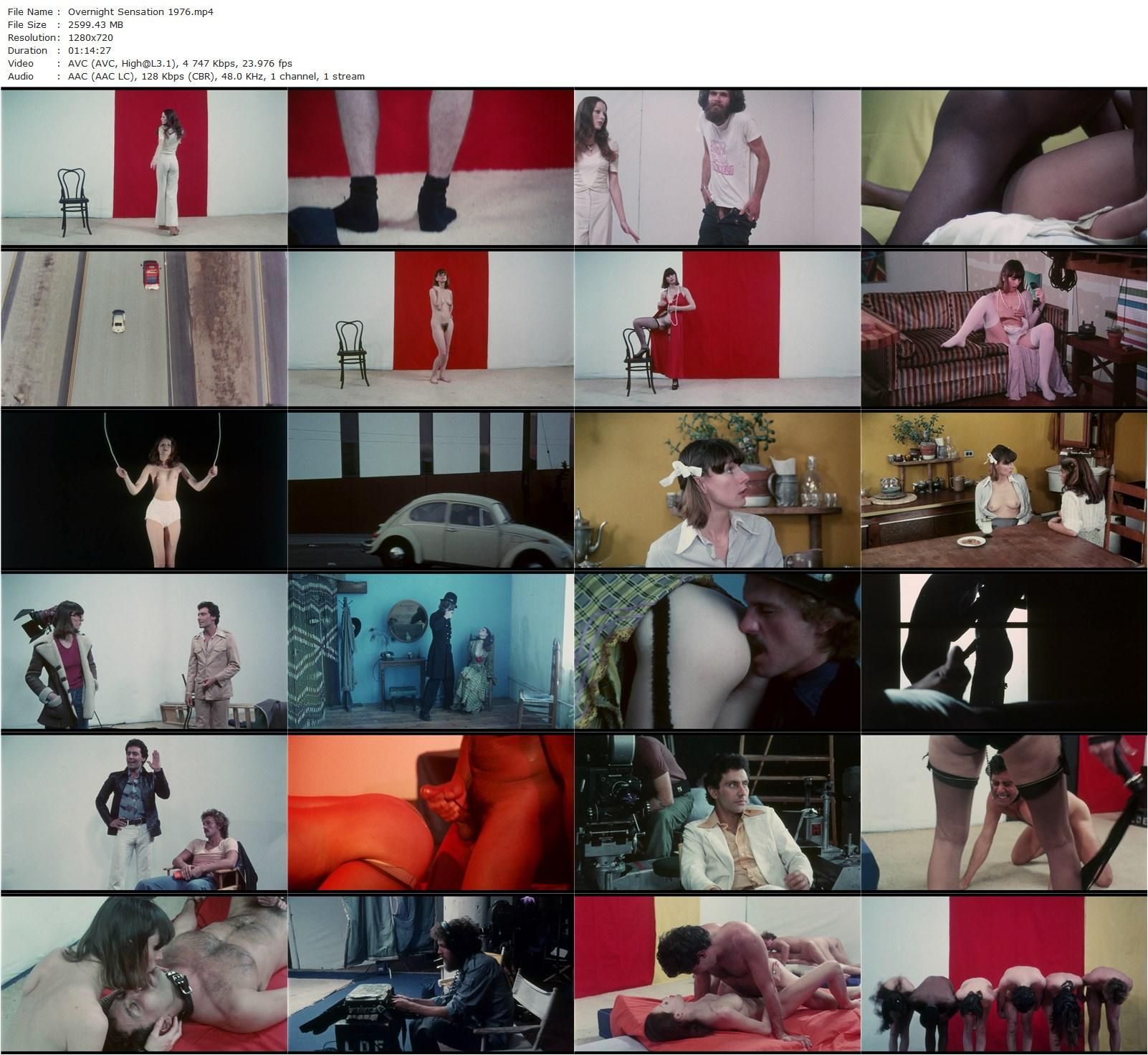 Overnight Sensation (1976) Robert Benjamin, Al Jarry, Sharon Thorpe, John Leslie, Annette Haven-poster