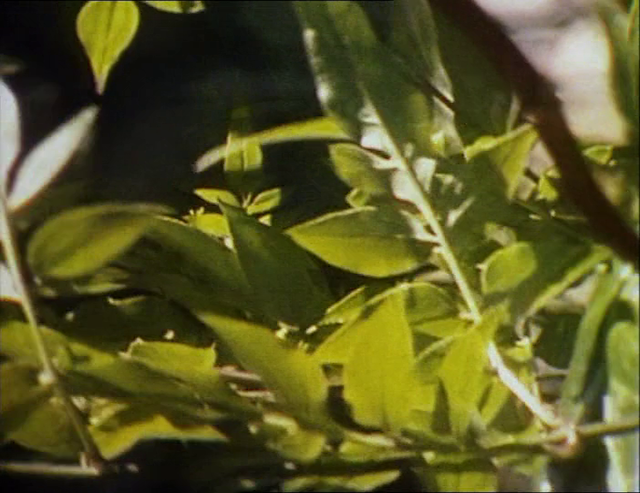 Pain Is... (1997)-poster