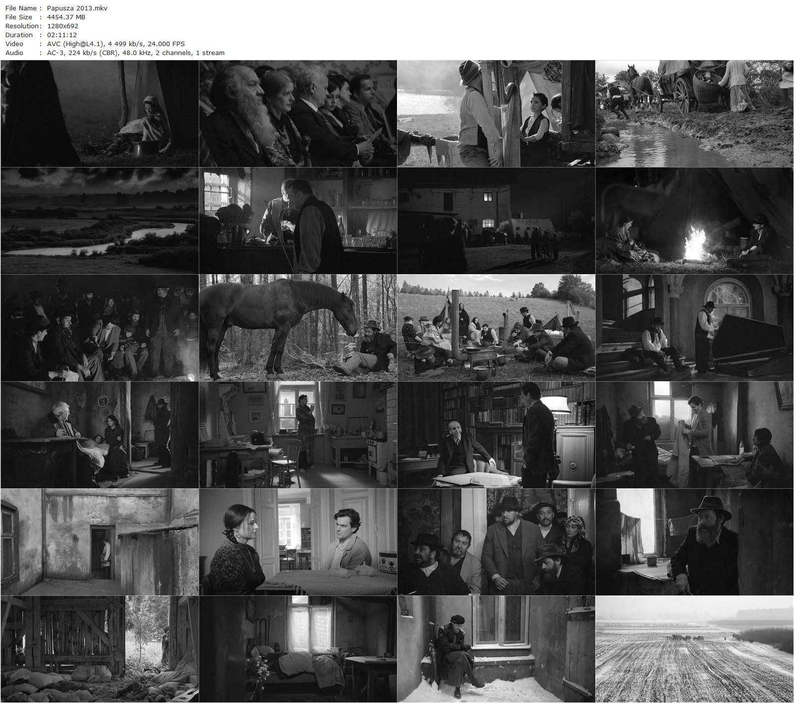 Doll AKA Papusza (2013) Joanna Kos-Krauze, Krzysztof Krauze, Jowita Budnik, Zbigniew Walerys, Antoni Pawlicki-poster