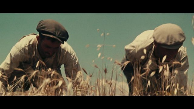 Vittorio De Seta - Parabola d'oro AKA Golden Parable (1955)-poster