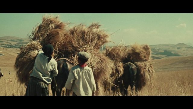 Vittorio De Seta - Parabola d'oro AKA Golden Parable (1955)-poster