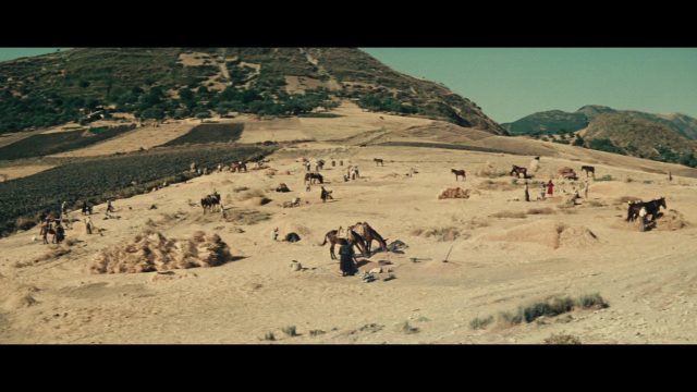 Vittorio De Seta - Parabola d'oro AKA Golden Parable (1955)-poster