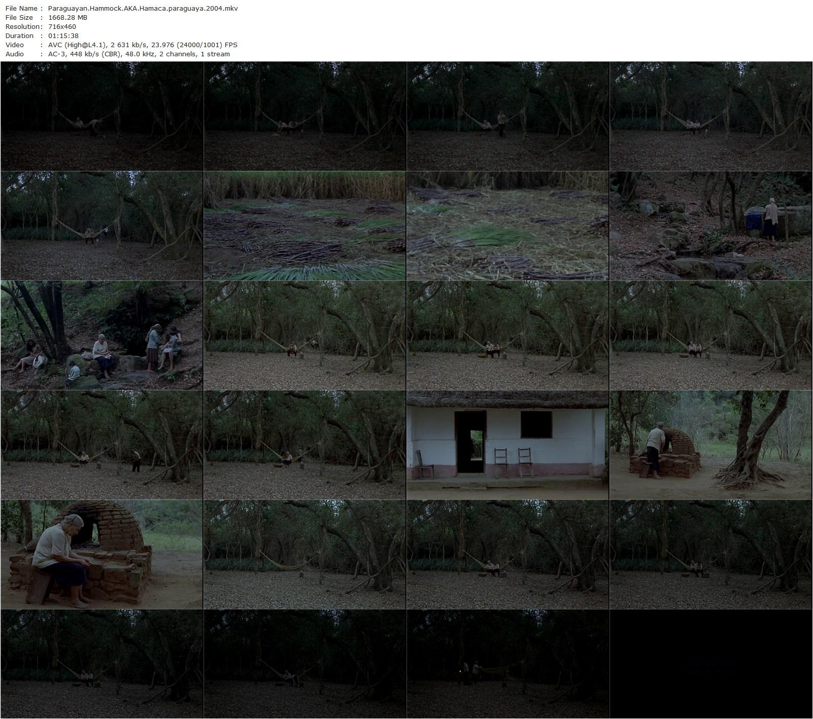 Hamaca paraguaya / Paraguayan Hammock (2006) Paz Encina, Ramon Del Rio, Georgina Genes, Jorge López-poster