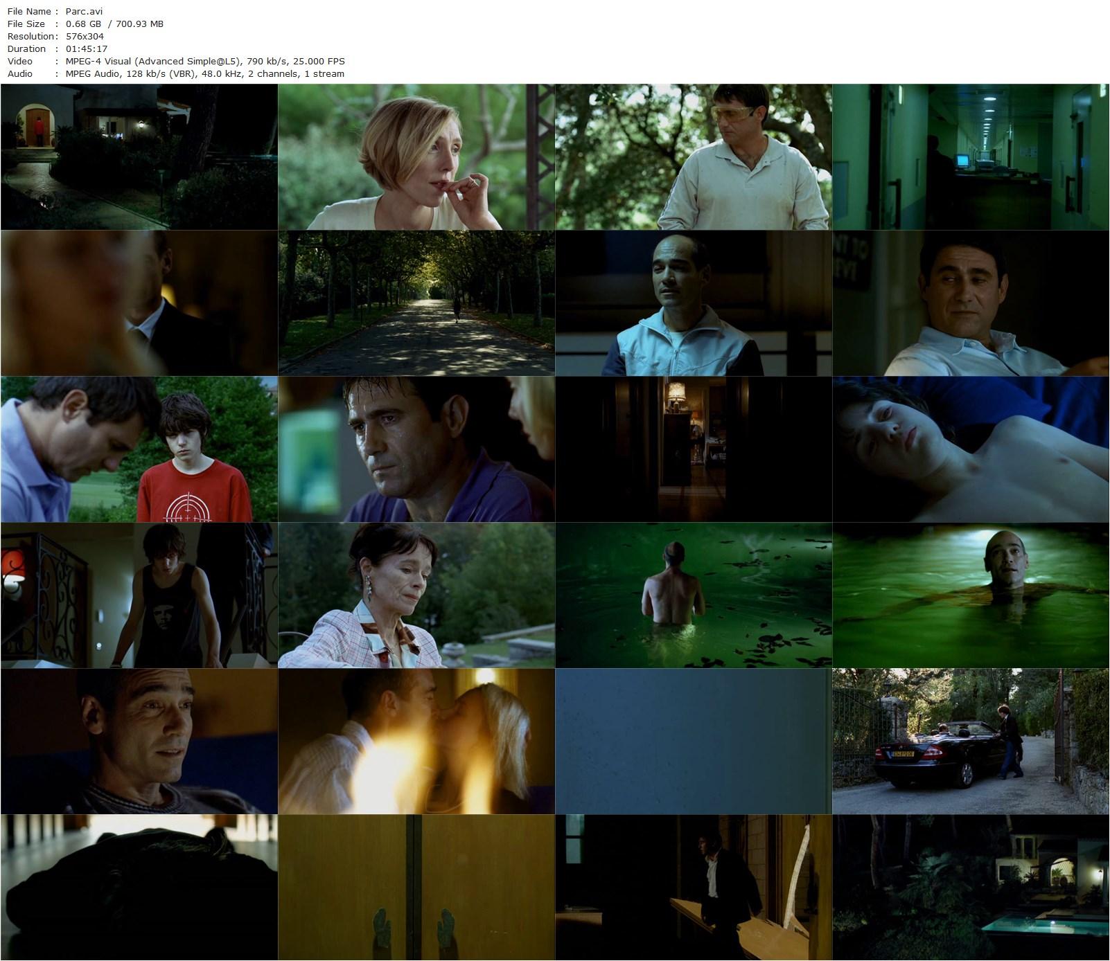 Parc (2008) Arnaud des Pallières, Jean-Marc Barr, Sergi López, Nathalie Richard-poster