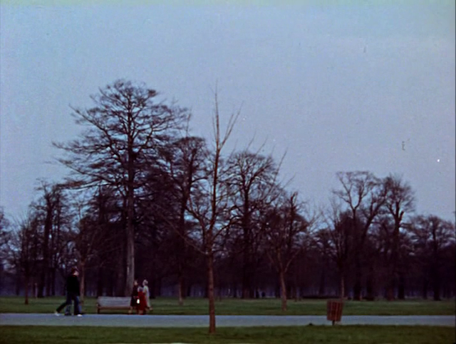 Park Film (2006) by Chris Welsby-poster