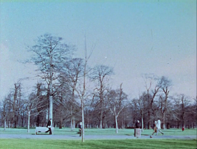 Park Film (2006) by Chris Welsby-poster