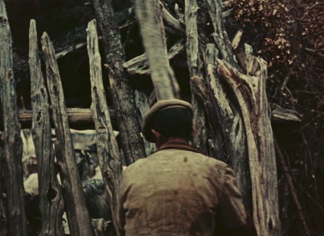 Vittorio De Seta - Pastori di Orgosolo AKA Orgosolo's Shepherds (1958)-poster