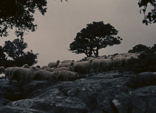 Vittorio De Seta - Pastori di Orgosolo AKA Orgosolo's Shepherds (1958)-poster