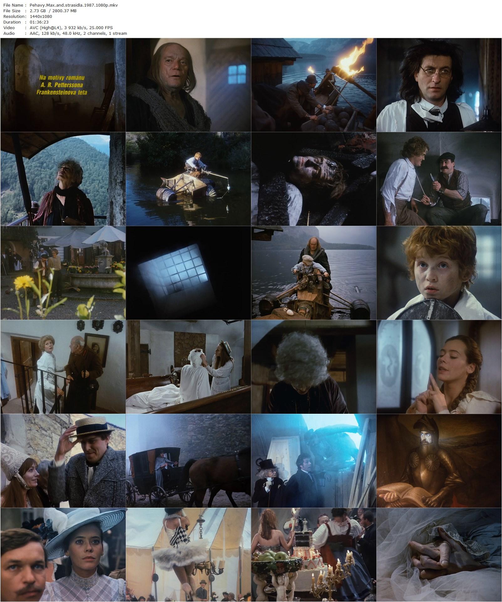 Freckled Max and the Spooks AKA Pehavý Max a strasidlá (1987) Juraj Jakubisko, Martin Hreben, Gerhard Karzel, Eddie Constantine-poster